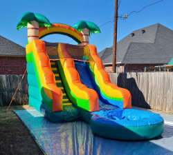 15' Tropical Slide w/ Pool - Wet or Dry